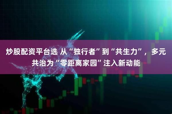 炒股配资平台选 从“独行者”到“共生力”，多元共治为“零距离家园”注入新动能