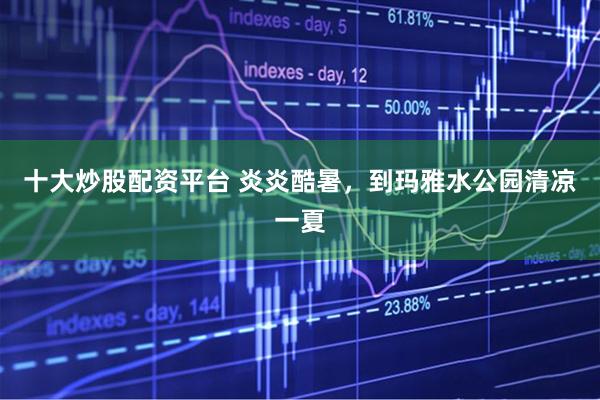 十大炒股配资平台 炎炎酷暑，到玛雅水公园清凉一夏