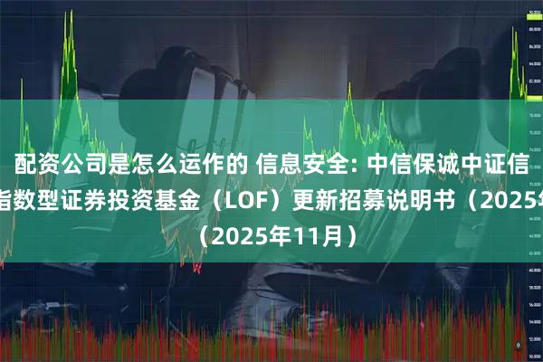配资公司是怎么运作的 信息安全: 中信保诚中证信息安全指数型证券投资基金(LOF)更新招募说明书(2025年11月)